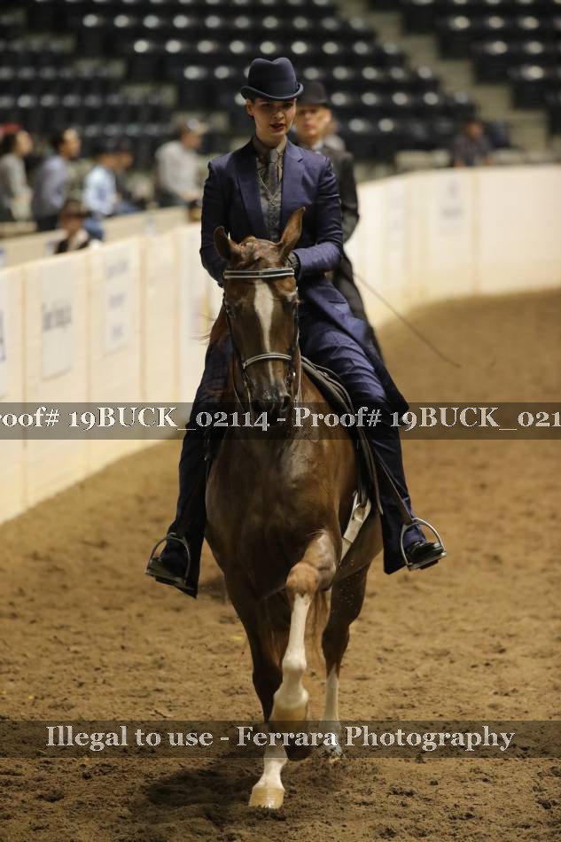 Proof 19BUCK_02114