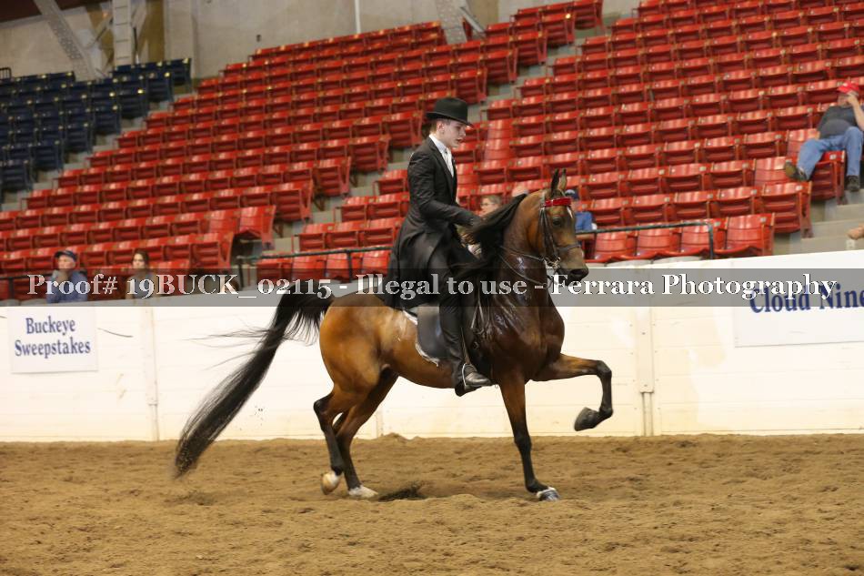 Proof 19BUCK_02115