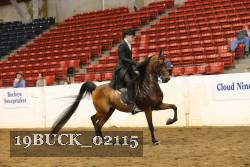 19BUCK_02115 proof