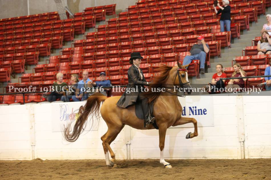 Proof 19BUCK_02116