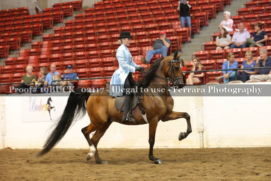 Proof 19BUCK_02117