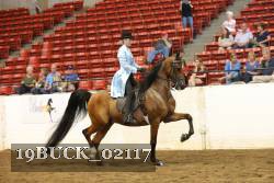 19BUCK_02117 proof