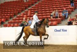 19BUCK_02118 proof