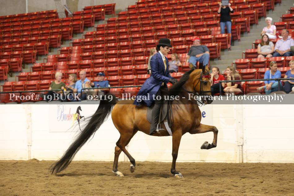 Proof 19BUCK_02119
