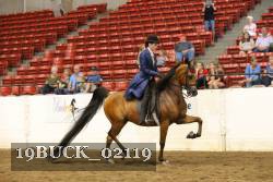 19BUCK_02119 proof