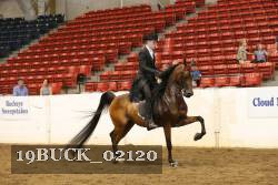 19BUCK_02120 proof