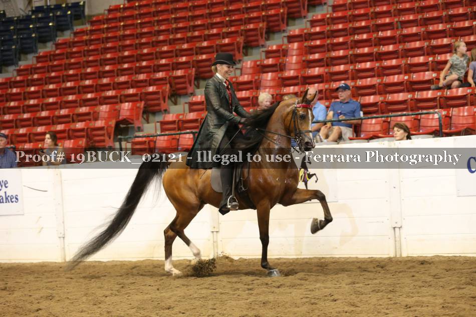 Proof 19BUCK_02121