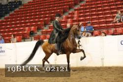 19BUCK_02121 proof