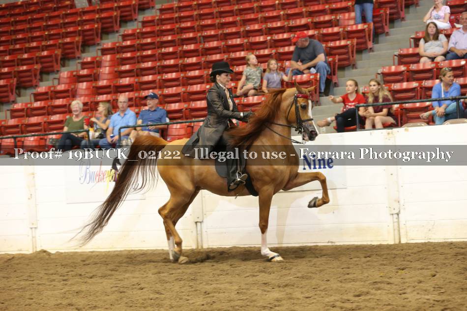 Proof 19BUCK_02122