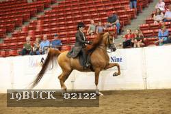 19BUCK_02122 proof