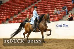 19BUCK_02123 proof