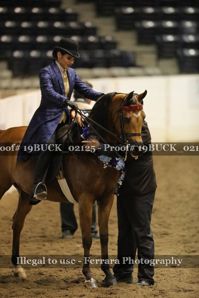 Proof 19BUCK_02125