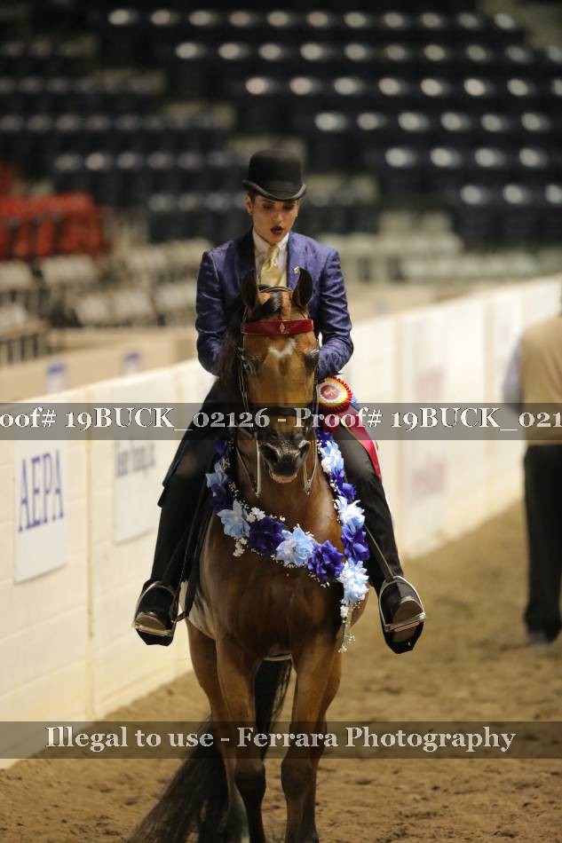 Proof 19BUCK_02126