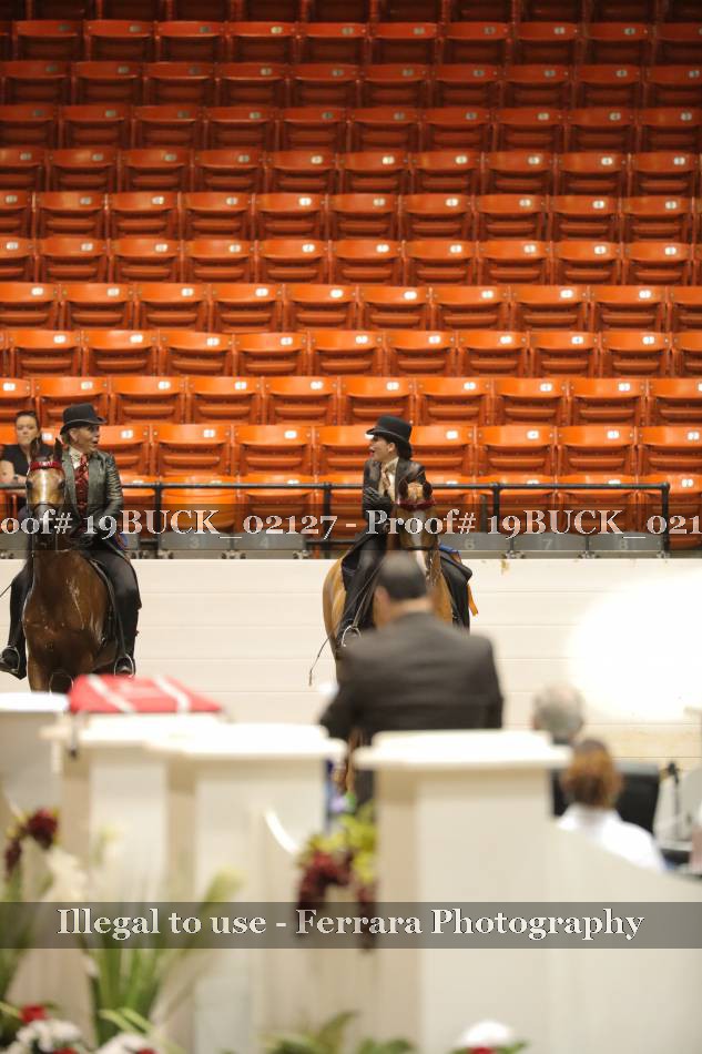 Proof 19BUCK_02127