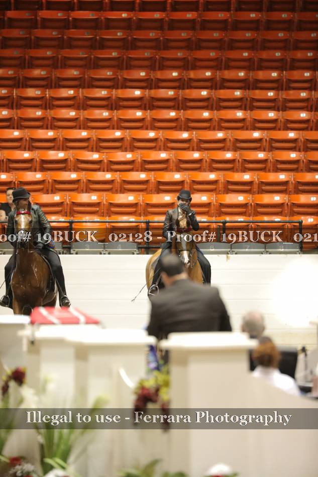 Proof 19BUCK_02128