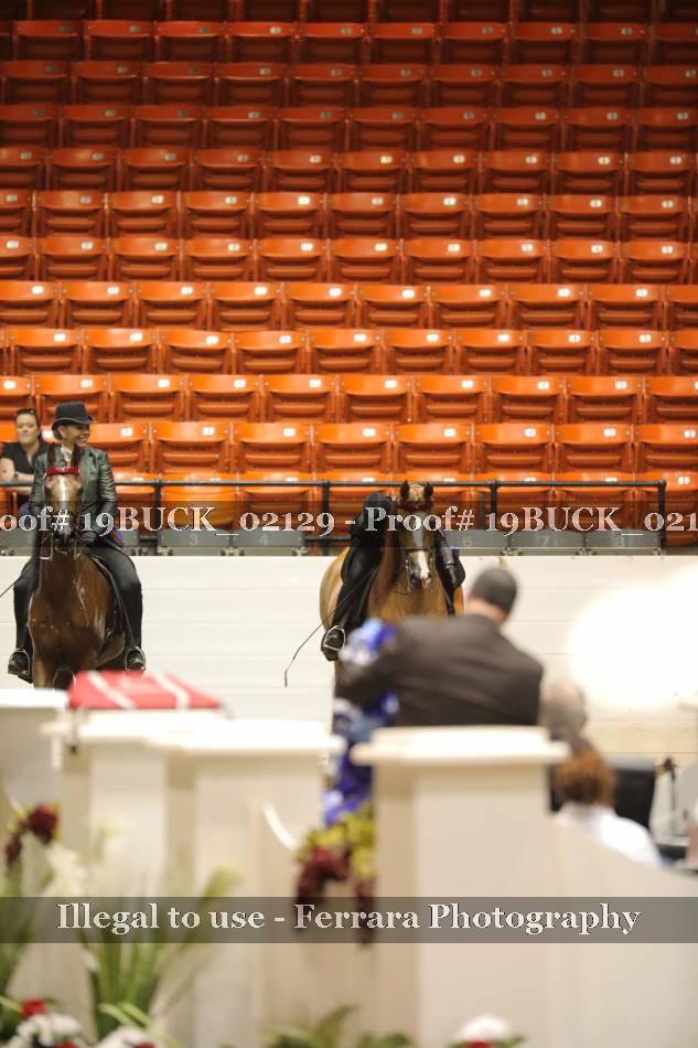 Proof 19BUCK_02129