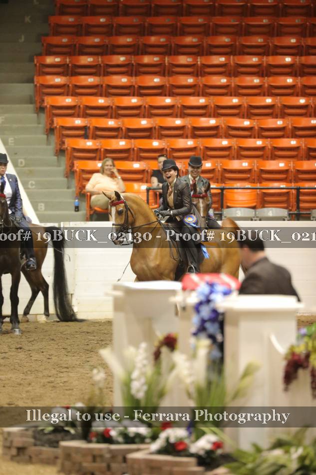 Proof 19BUCK_02130