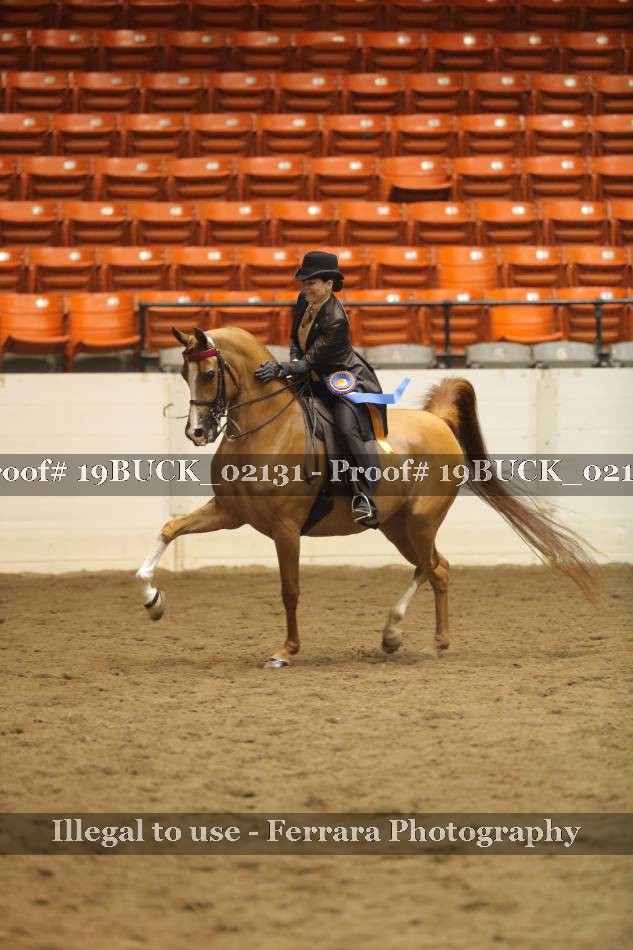 Proof 19BUCK_02131