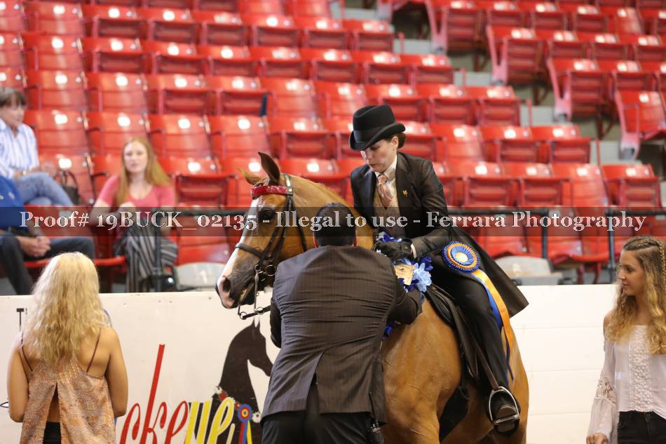 Proof 19BUCK_02135