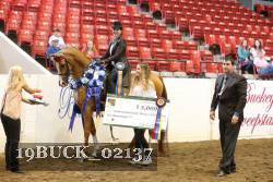 19BUCK_02137 proof