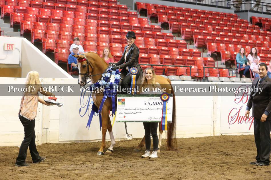 Proof 19BUCK_02138