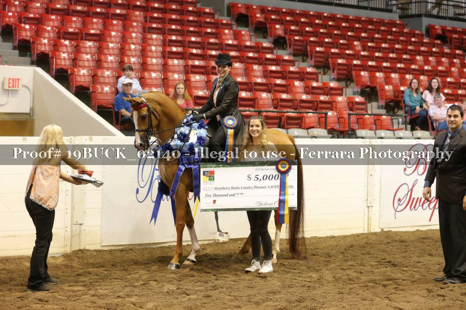 Proof 19BUCK_02140