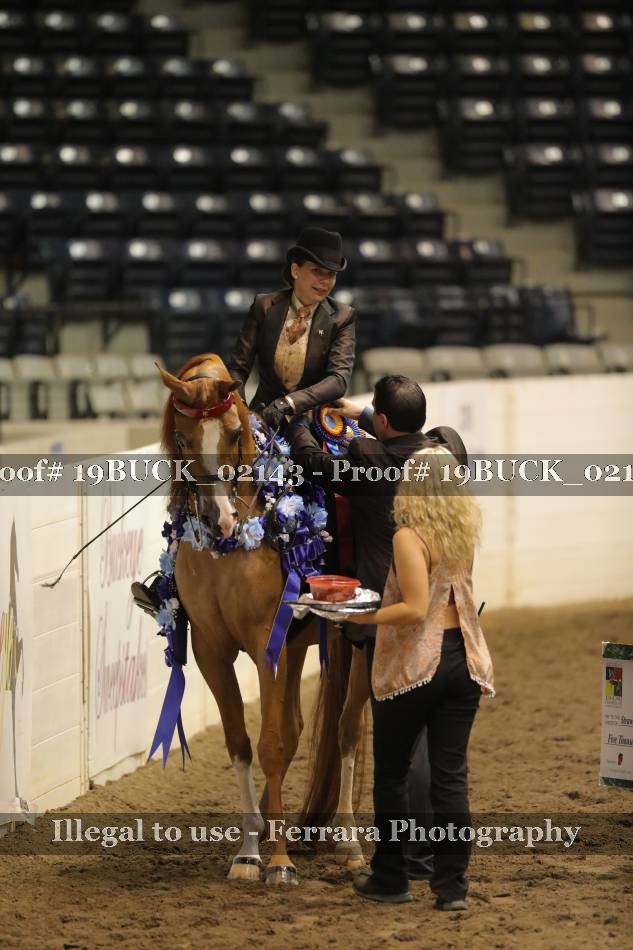 Proof 19BUCK_02143