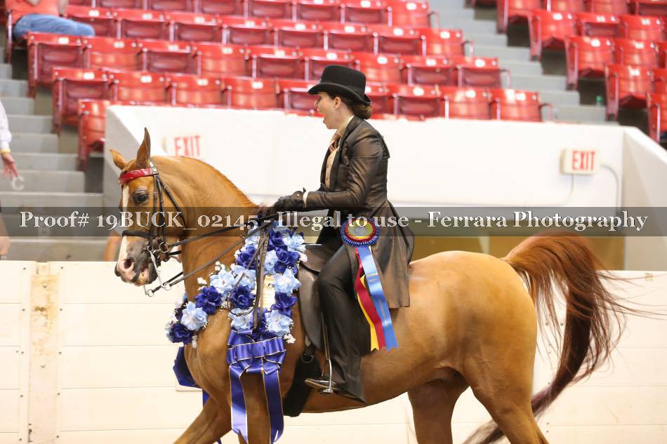Proof 19BUCK_02145
