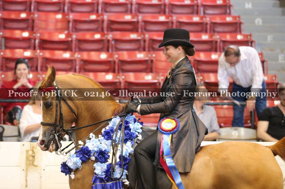 Proof 19BUCK_02146