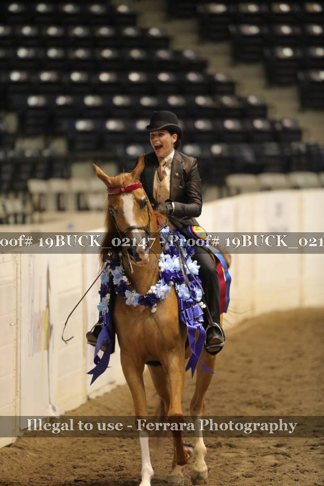 Proof 19BUCK_02147