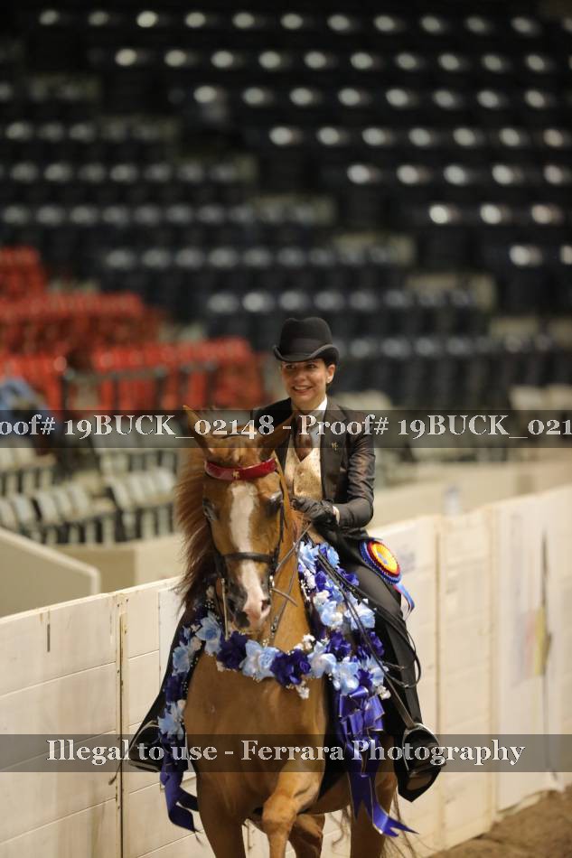 Proof 19BUCK_02148