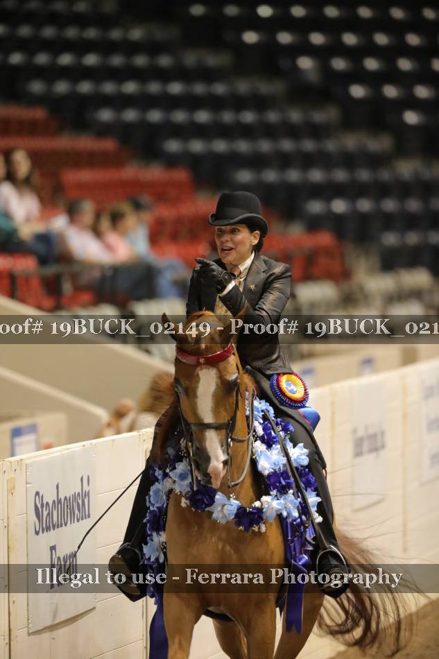Proof 19BUCK_02149