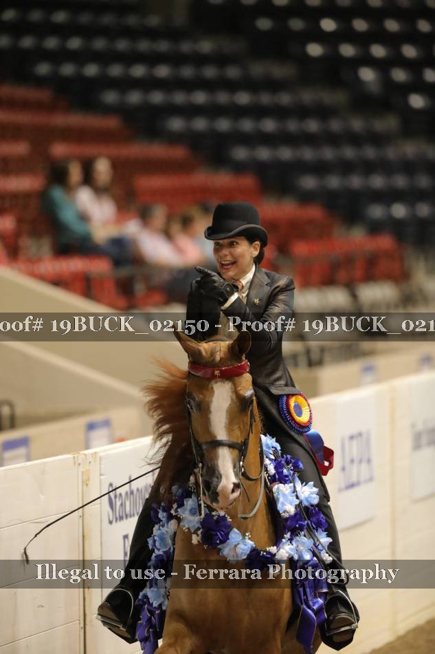 Proof 19BUCK_02150