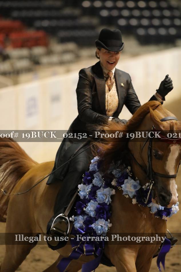 Proof 19BUCK_02152