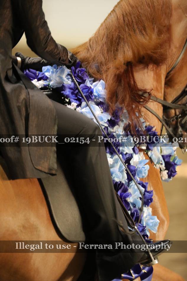 Proof 19BUCK_02154