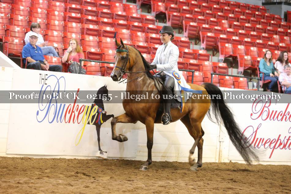 Proof 19BUCK_02155