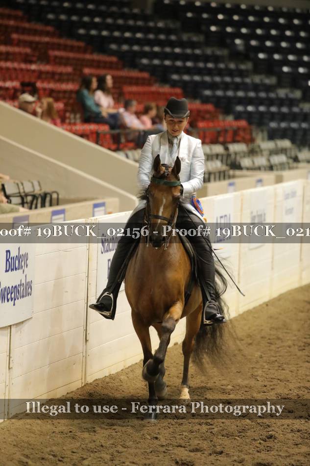 Proof 19BUCK_02156