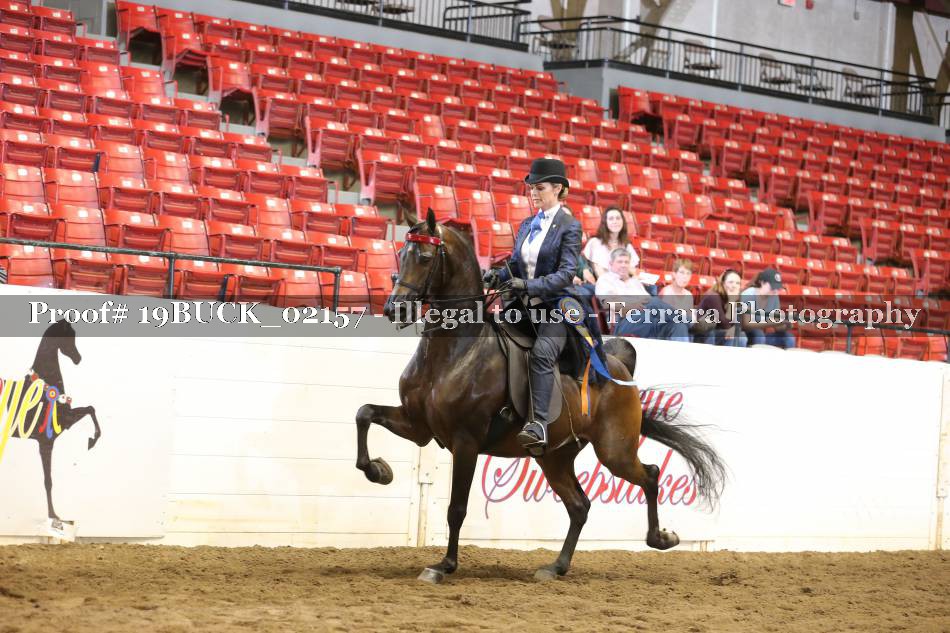 Proof 19BUCK_02157