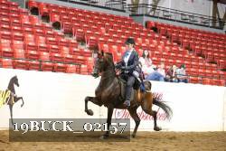 19BUCK_02157 proof