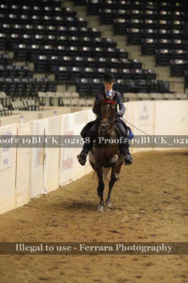 Proof 19BUCK_02158