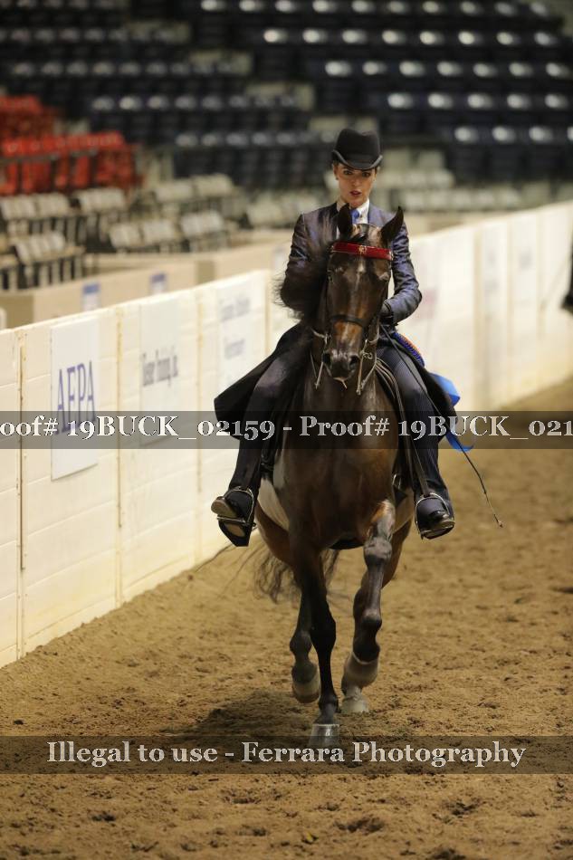 Proof 19BUCK_02159