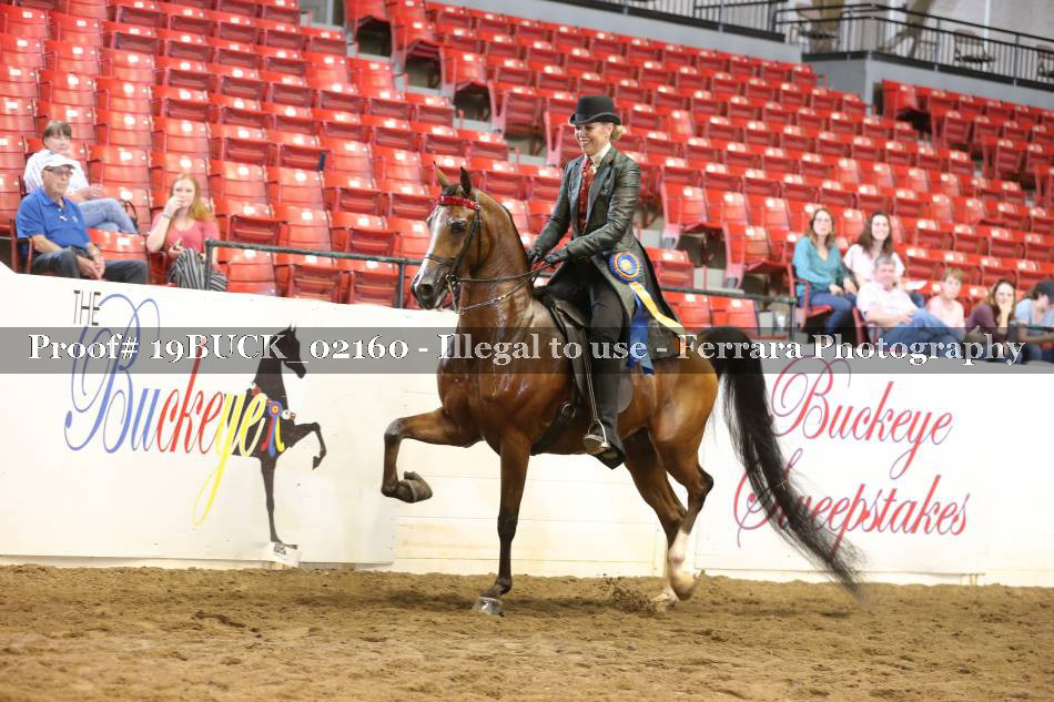 Proof 19BUCK_02160