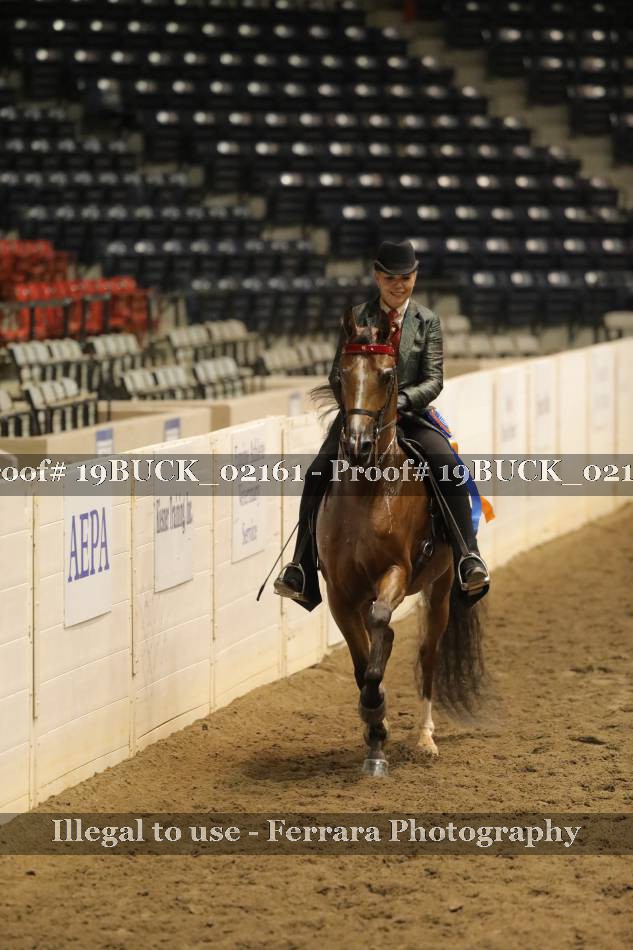 Proof 19BUCK_02161