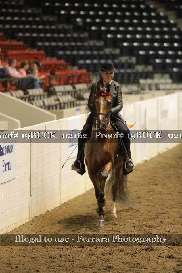 Proof 19BUCK_02162