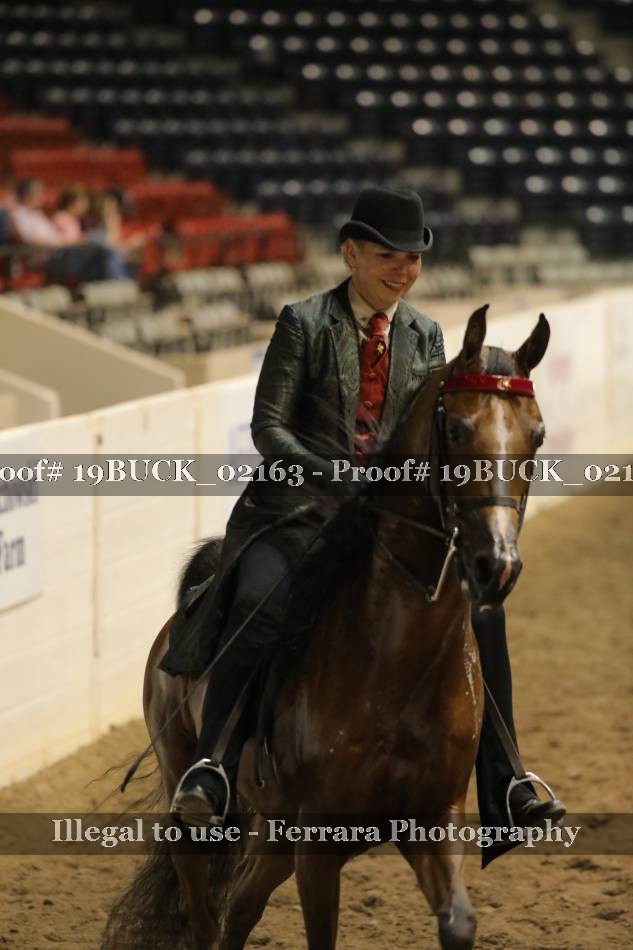 Proof 19BUCK_02163