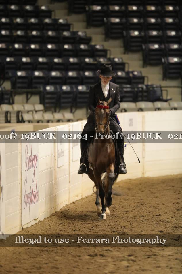 Proof 19BUCK_02164