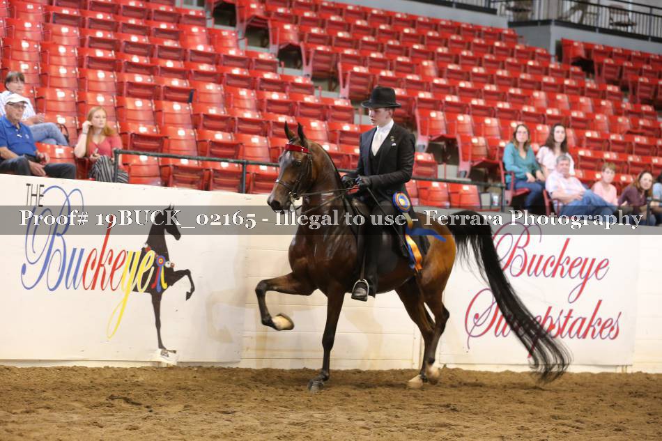 Proof 19BUCK_02165