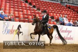 19BUCK_02165 proof