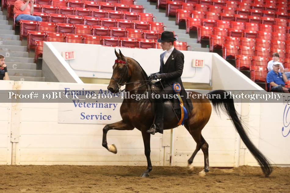 Proof 19BUCK_02166