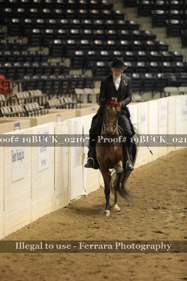 Proof 19BUCK_02167